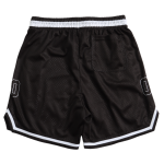 Retro-Basketballshorts mit aufgedruckten Spielernummern, Team-Vintage-Mesh, 100 % Polyester, schnell trocknend, Übergrößen, atmungsaktiv, Sommer Retro-Basketballshorts mit aufgedruckten Spielernummern, Team-Vintage-Mesh, 100 % Polyester, schnell trocknend, Übergrößen, atmungsaktiv, Sommer