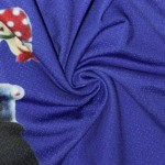 Maßgeschneidertes Logo, OEM/ODM, leichte, umweltfreundliche Radbekleidung für Damen, Langarm-Radtrikot, sublimiert, durchgehender Reißverschluss Maßgeschneidertes Logo, OEM/ODM, leichte, umweltfreundliche Radbekleidung für Damen, Langarm-Radtrikot, sublimiert, durchgehender Reißverschluss